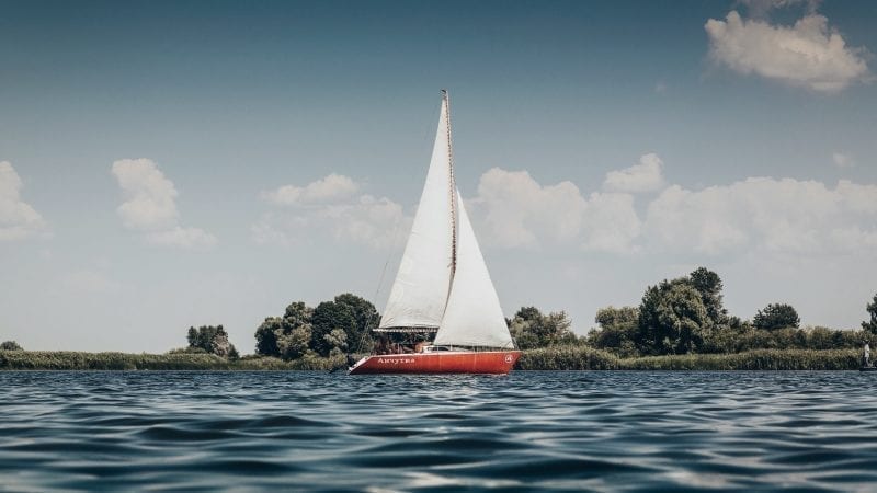 Capturing the Wind: Aligning with the Archetypal Through Dreams