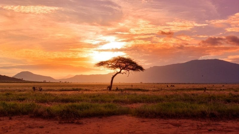 African Spirituality - Jung Platform