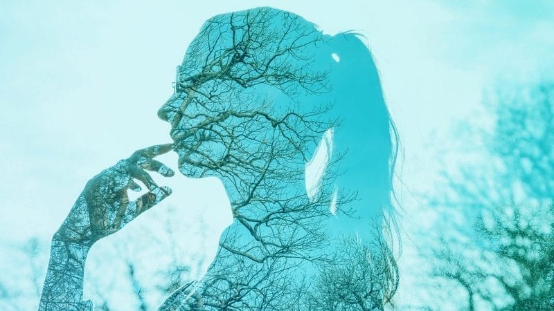 Lucid Dreaming - Jung Platform