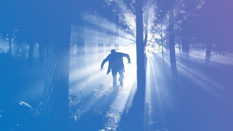 The Frankenstein Prophecies - Jung Platform