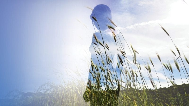 Reflections on Ecology and Soul