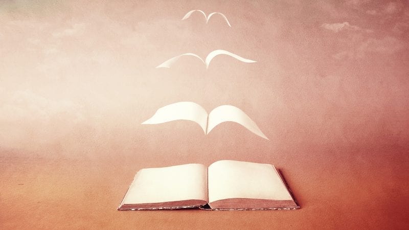 Poetry Workshop: Beauty & The Soul’s Code